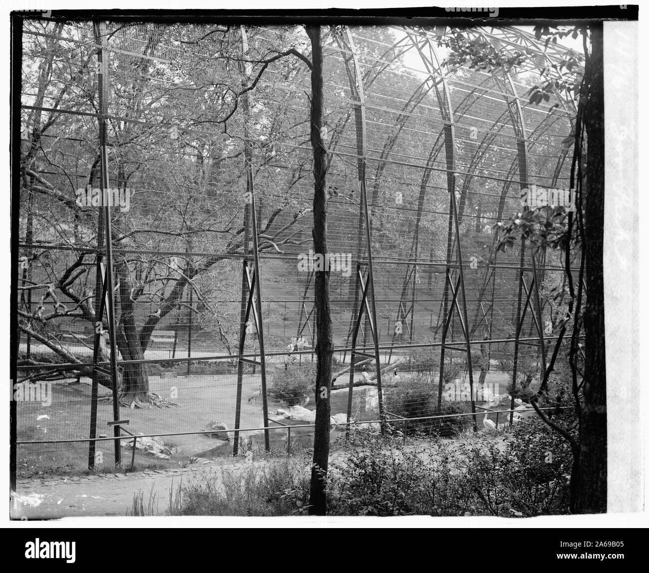 Parco Zoo Foto Stock