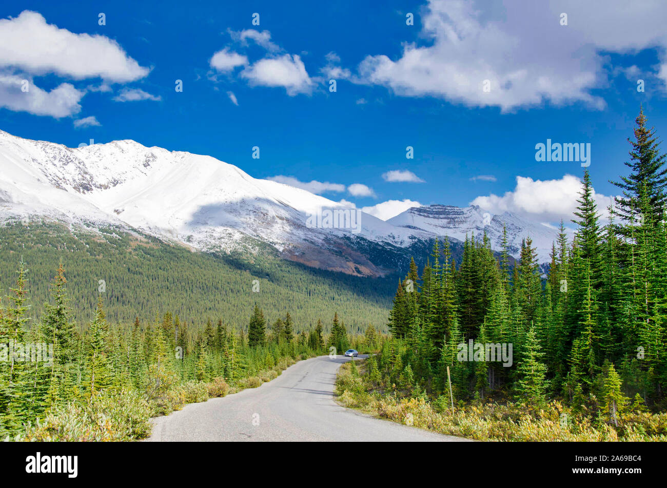 Vista della Canadian Rockie montagne in Banff National Park in Alberta Foto Stock