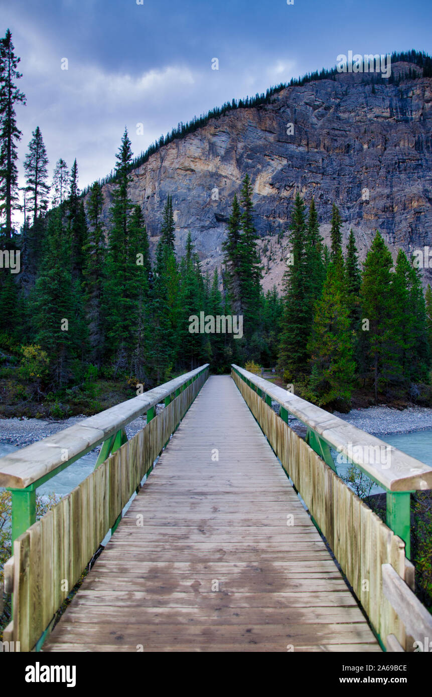 Ponte pedonale per accedere alle Cascate di Takakkaw nel Parco Nazionale di Banff - Alberta Foto Stock