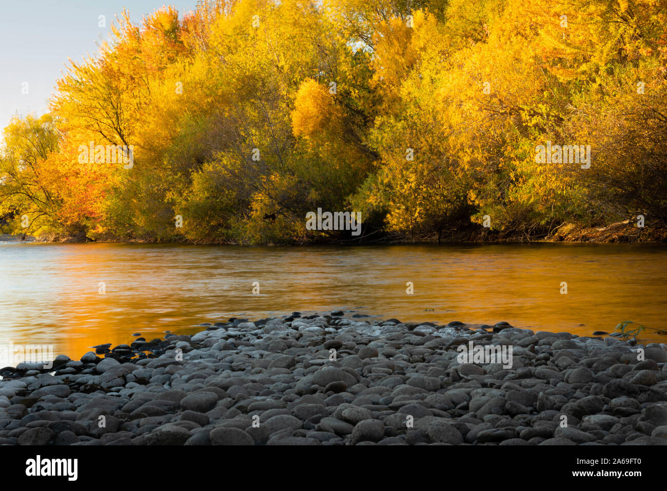 Fiume Boise nella splendida luce della sera. Boise cintura verde. Piccolo fiume di montagna, i colori dell'autunno. Foto Stock