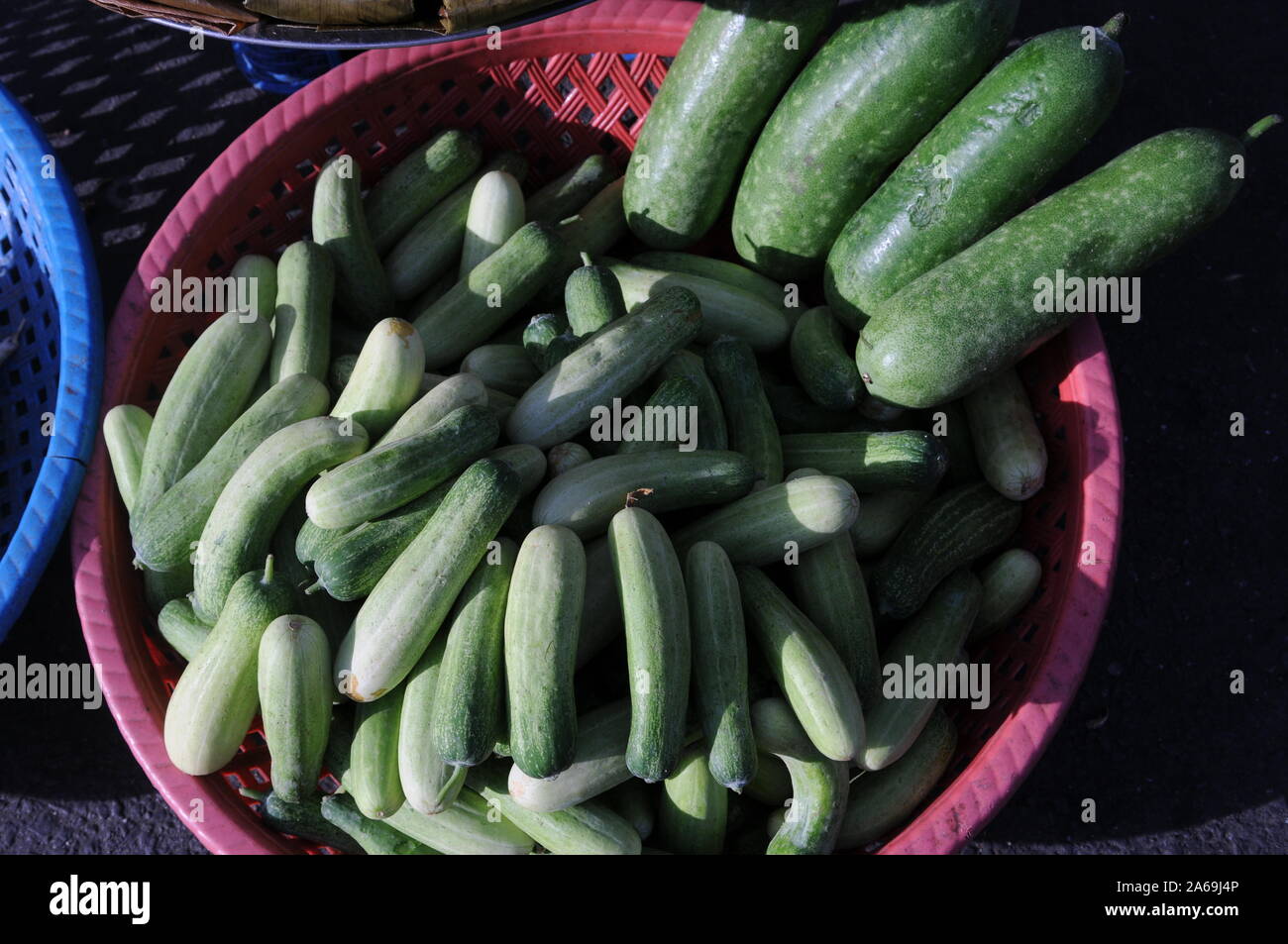 Soleggiato cetrioli sul display e per la vendita a un open air di verdure fresche, di stallo il mercato russo, Phnom Penh Cambogia. © Kraig Lieb Foto Stock