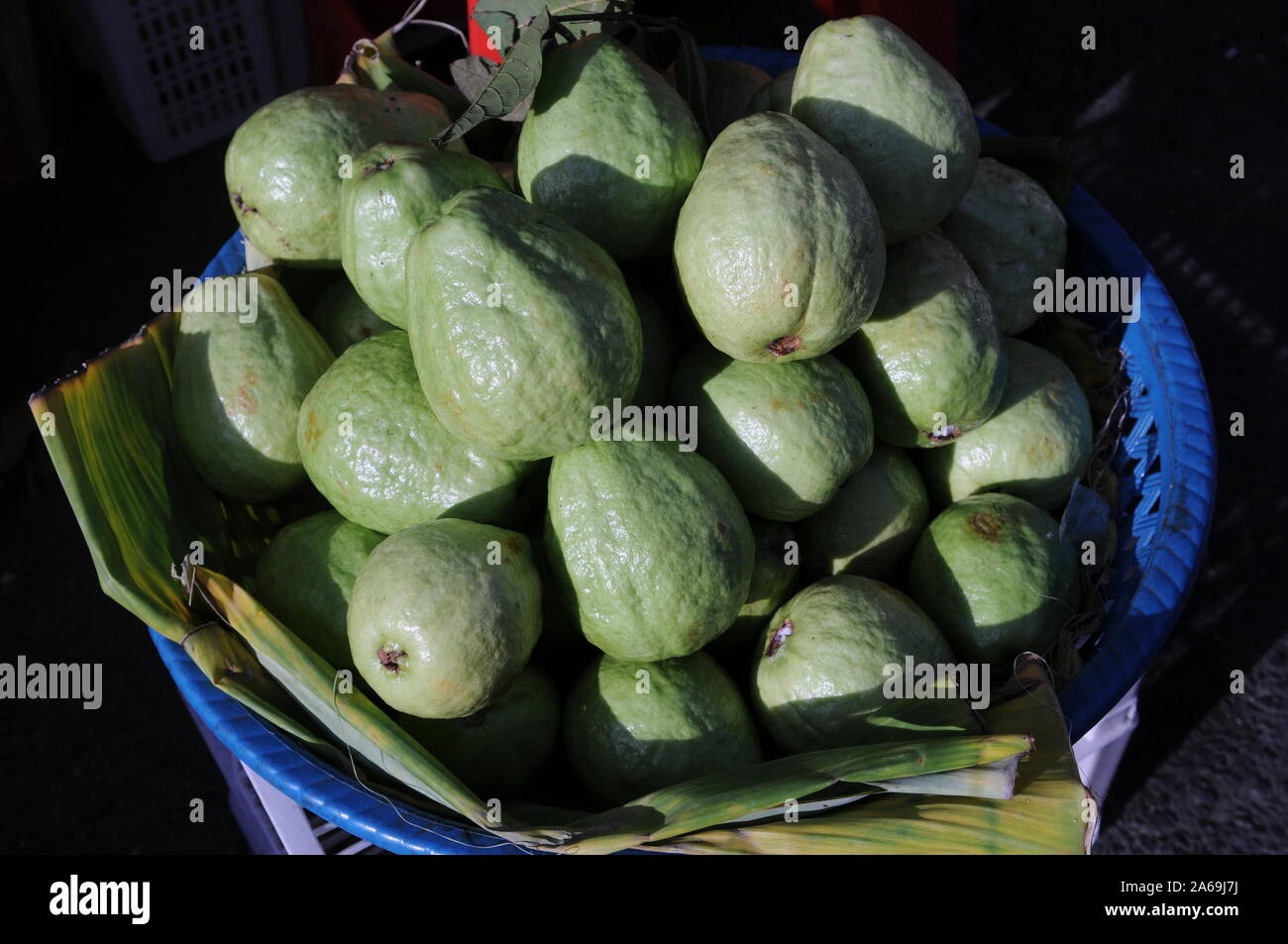 Soleggiato guaiave sul display e per la vendita a un open air di frutta fresca in stallo il mercato russo, Phnom Penh Cambogia. © Kraig Lieb Foto Stock
