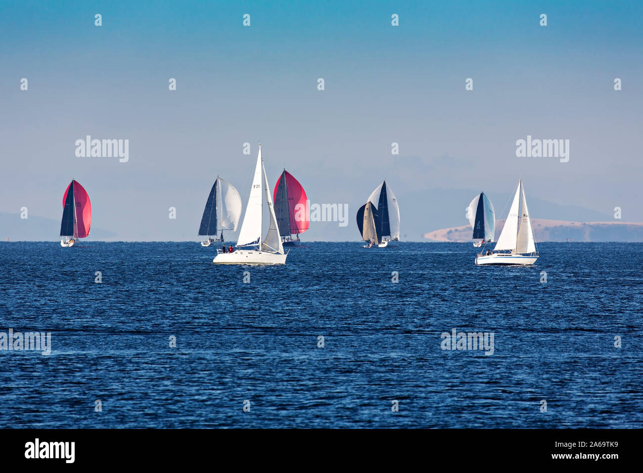 Hobart Australia / yacht della vela sul fiume Derwent a Hobart in Tasmania. Racing yachts navigare un corso all'interno del porto di Hobart. Foto Stock