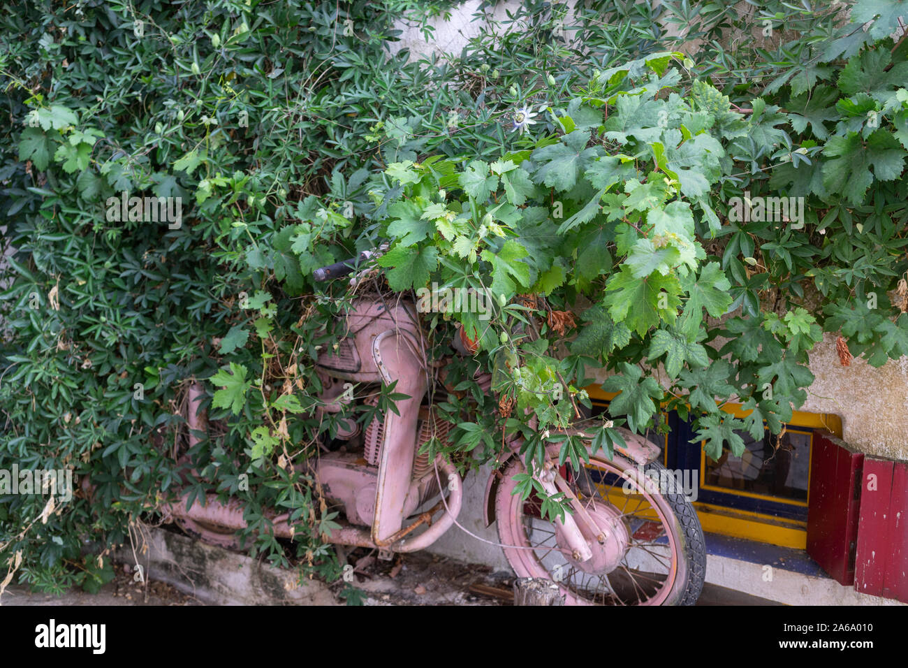 Motociclo rosa Foto Stock