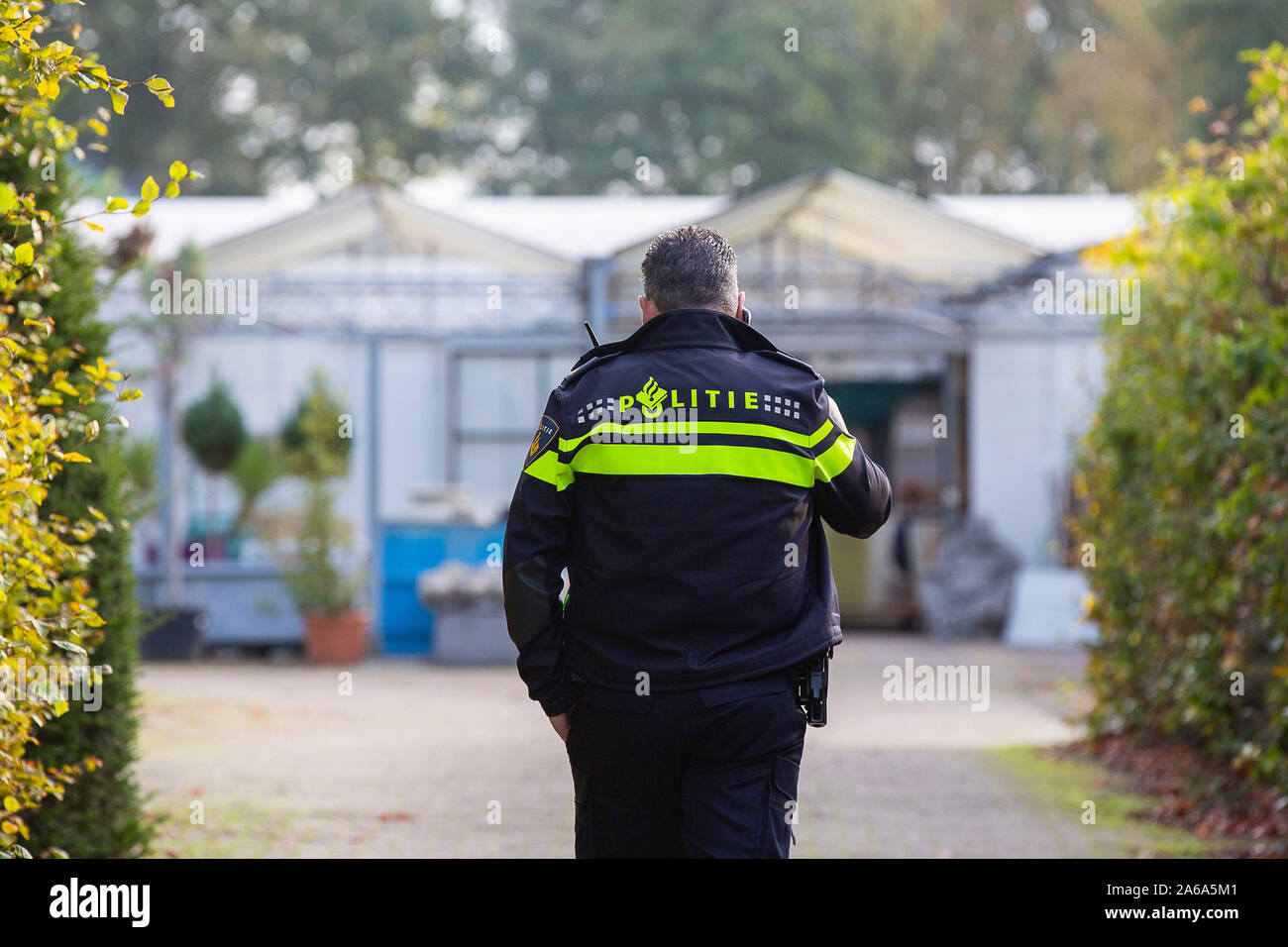 DEN DUNGEN, corpo morto trovato in serra Den Dungen, 25-10-2019. Foto Stock