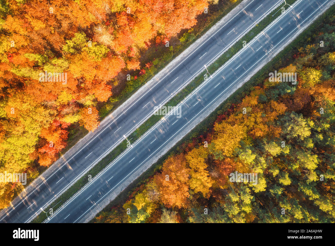 Vista aerea della strada in autunno bello e mite foresta al tramonto Foto Stock