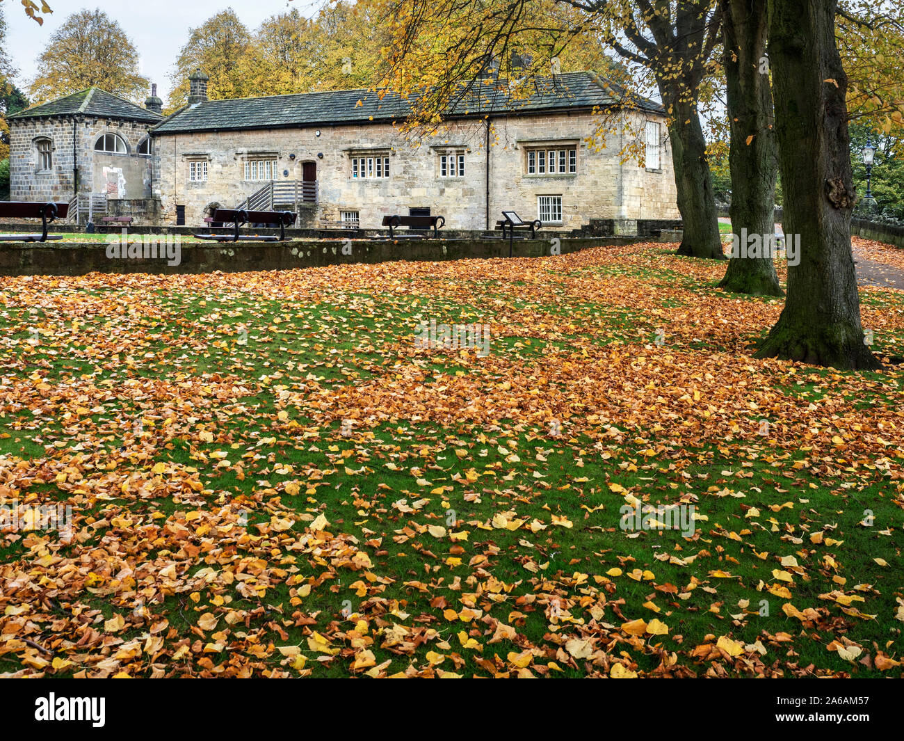 Caduto Foglie di autunno e la Courthouse Museum nel parco del castello a Knaresborough North Yorkshire, Inghilterra Foto Stock