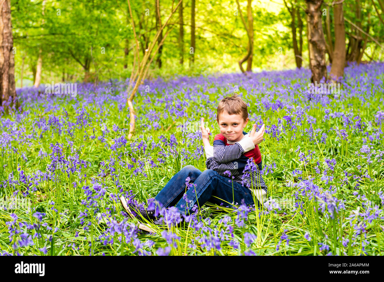 Un bel po' di ragazzo con ADHD, autismo, sindrome di Aspergers si siede e in posa per una foto in una foresta, boschi coperti in Bluebells, Foto Stock