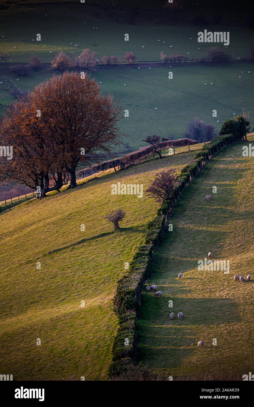 Le colline di inizio autunno con la sera tardi la luce, Wales, Regno Unito Foto Stock