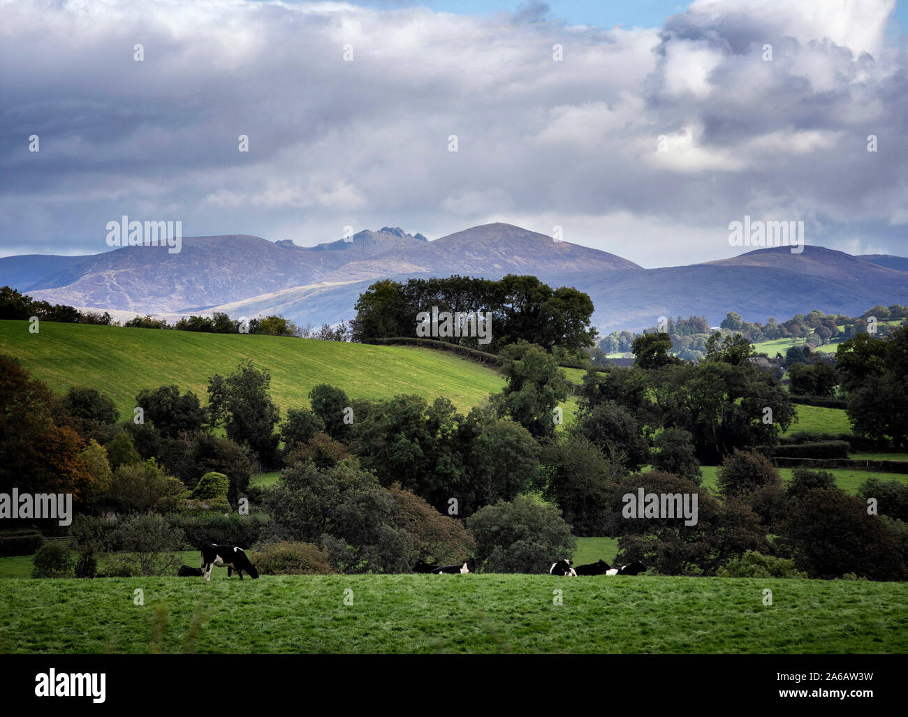 Mourne Mountains, Co. Verso il basso Foto Stock
