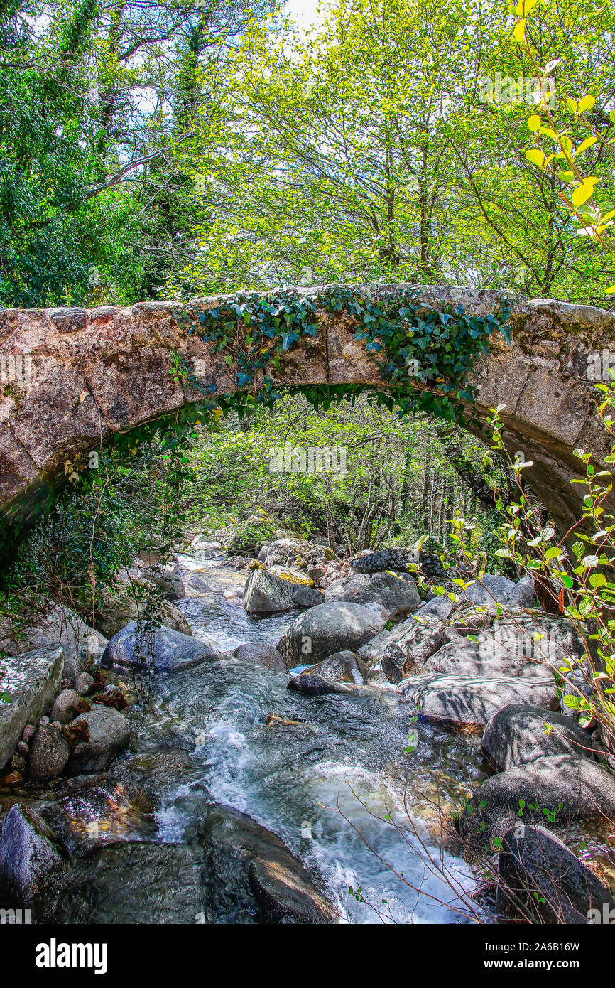 Coperto con moss rocce e albero nella foresta magica. Jerte Valley Foto Stock