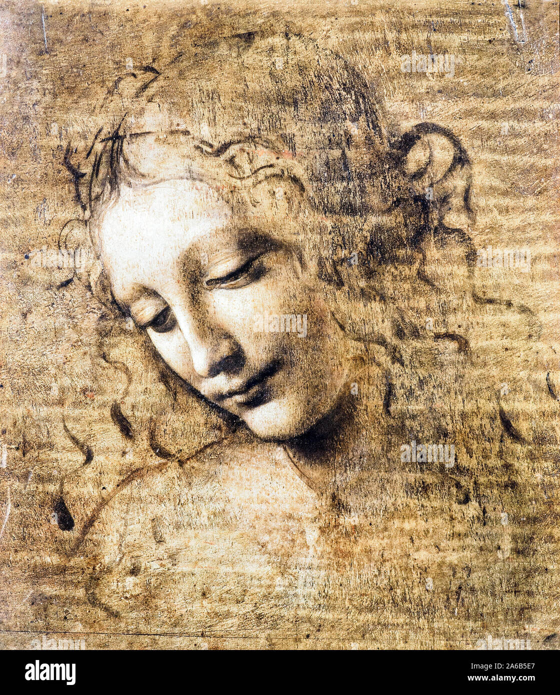 La Scapiliata da Leonardo da Vinci (1452-1519) c. 1508 Umber verde e ambra sul legno), cm 25x21 Foto Stock