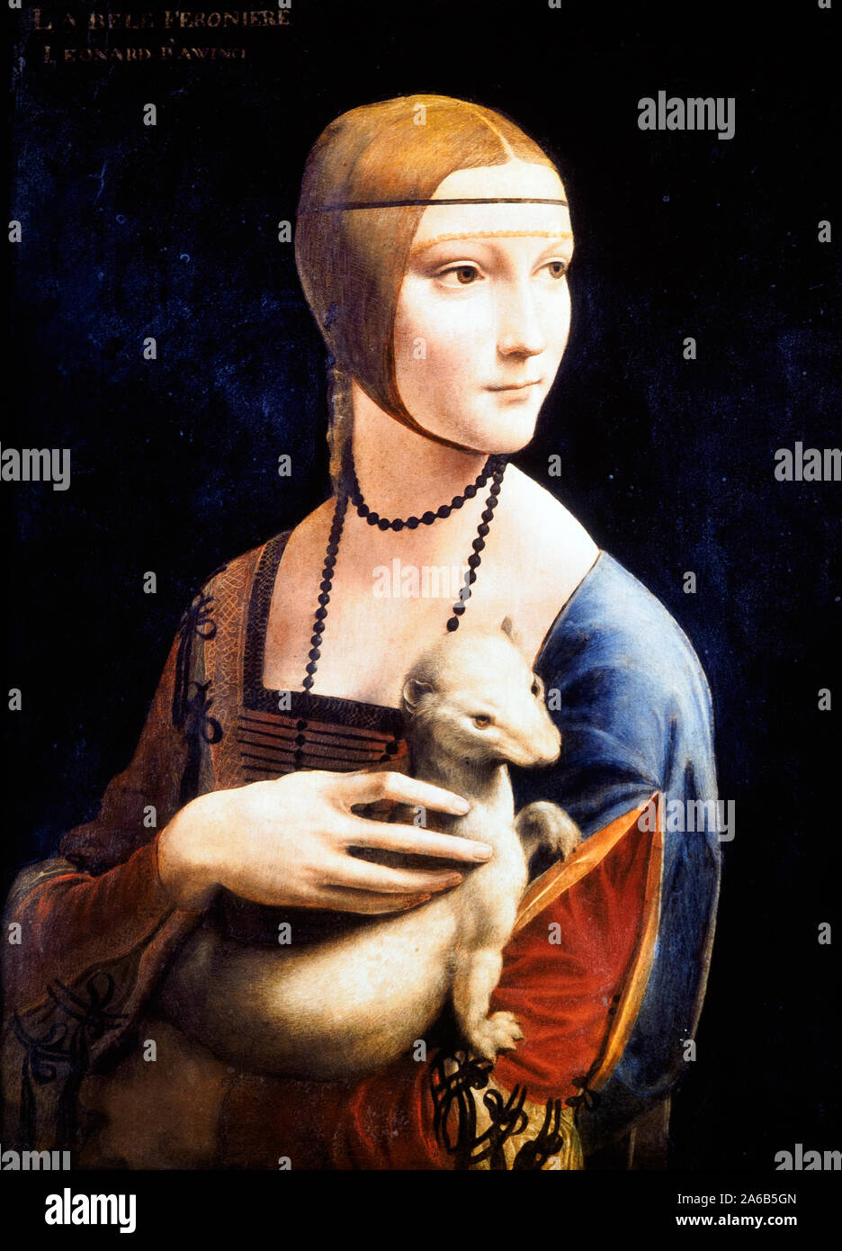 Ritratto di Cecilia Gallerani (la Dama con l'ermellino) da Leonardo da Vinci (1452-1519) 1489 - 1490 olio su legno, cm 55 x 40 Foto Stock