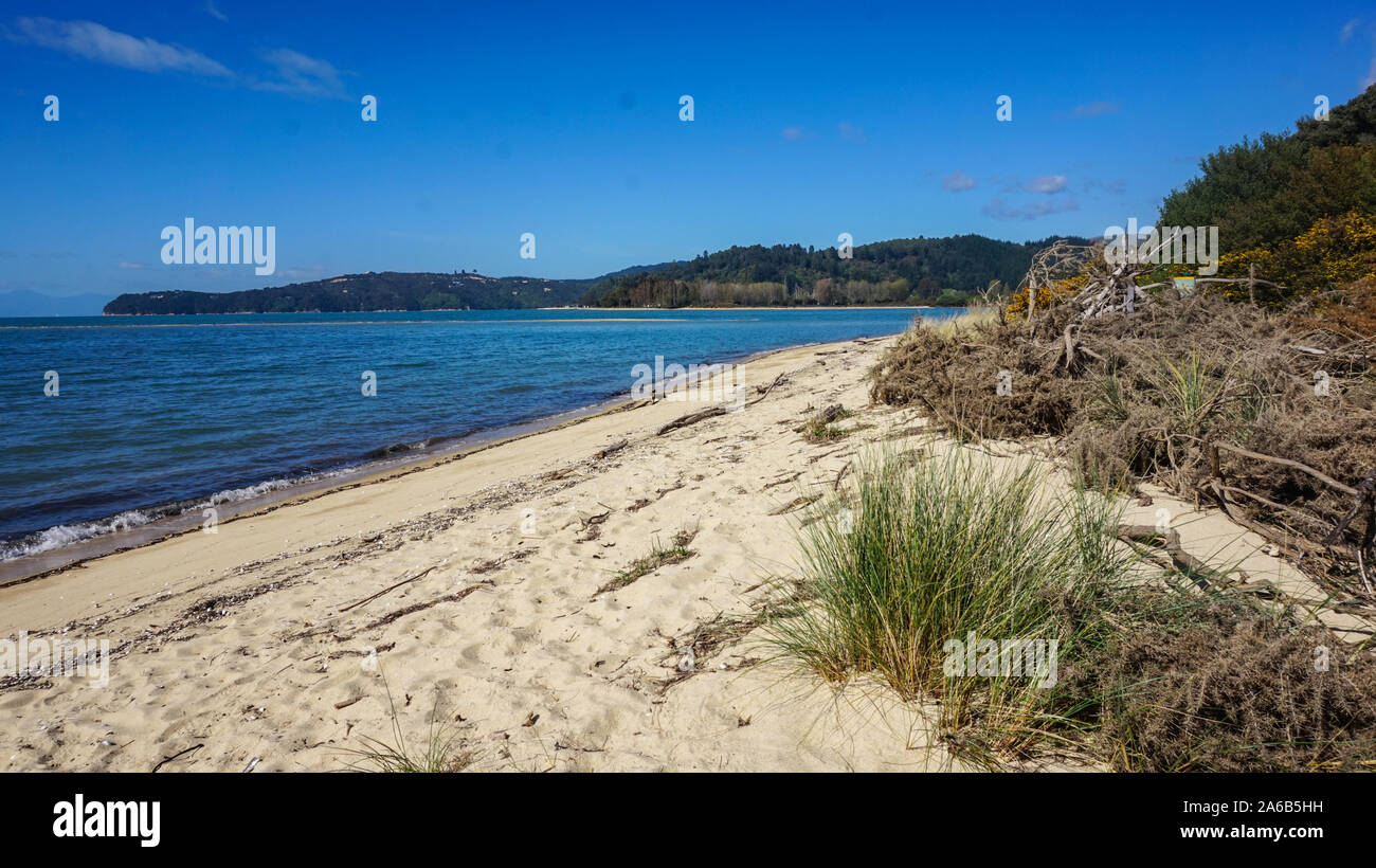 Sabbiosa spiaggia tropicale e il promontorio della baia di ancoraggio, il Parco Nazionale Abel Tasman, Nuova Zelanda. Incredibile e splendida vista presso la pista a piedi e la spiaggia. Foto Stock