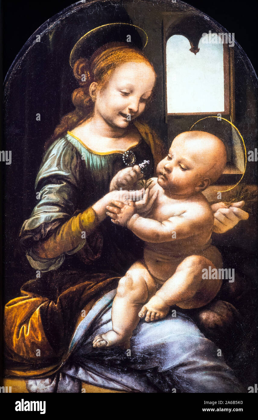 Madonna Benois (Madonna Benois) da Leonardo da Vinci (1452-1519) 1478 - 1480 olio su legno, cm 48 x 31 Foto Stock
