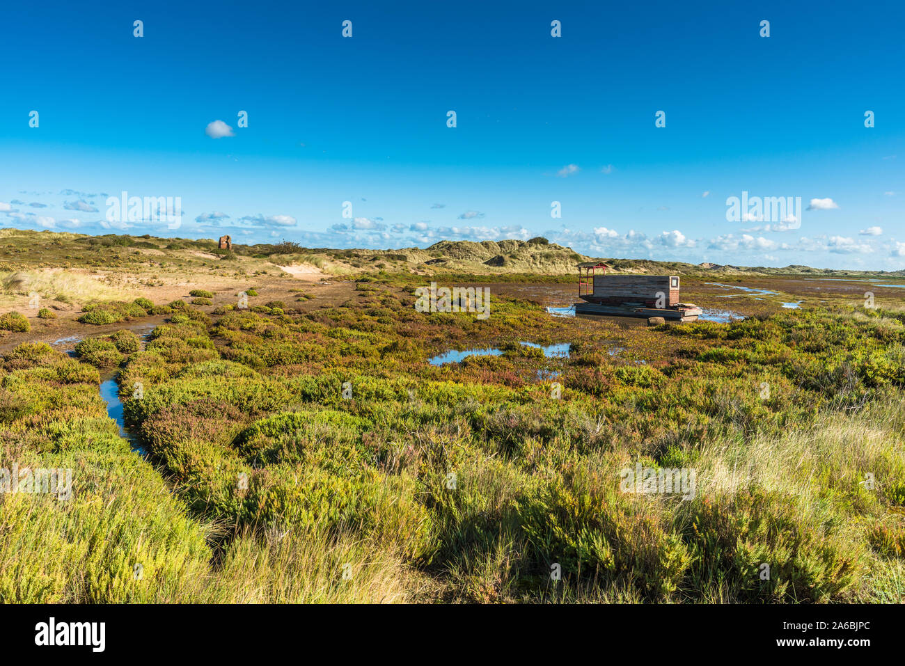 Una casa galleggiante sul Salt Marshes vicino a Burnham Overy Staithe vicino Holkham Bay sulla Costa North Norfolk, East Anglia, Inghilterra, Regno Unito. Foto Stock