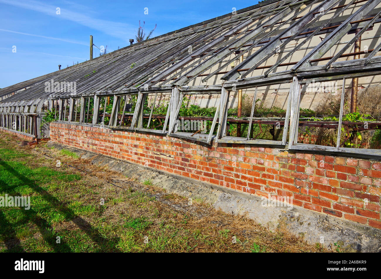 Abbandonata e pittorescamente vetro decadenti case costruite contro un muro orientato a sud del parco di Harewood House nello Yorkshire Foto Stock