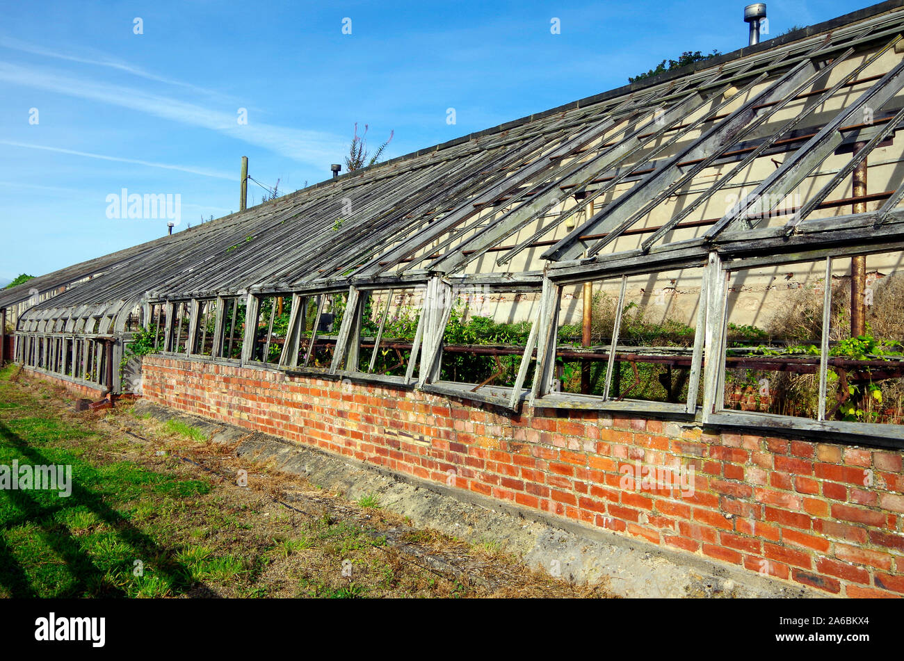 Abbandonata e pittorescamente vetro decadenti case costruite contro un muro orientato a sud del parco di Harewood House nello Yorkshire Foto Stock