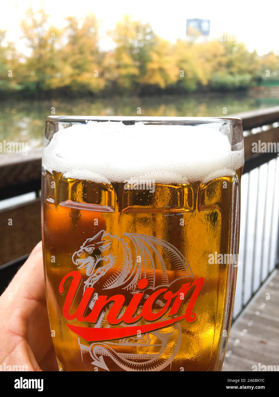Bicchiere di unione, birra slovena, Tivoli Park, Lubiana, Slovenia Foto  stock - Alamy