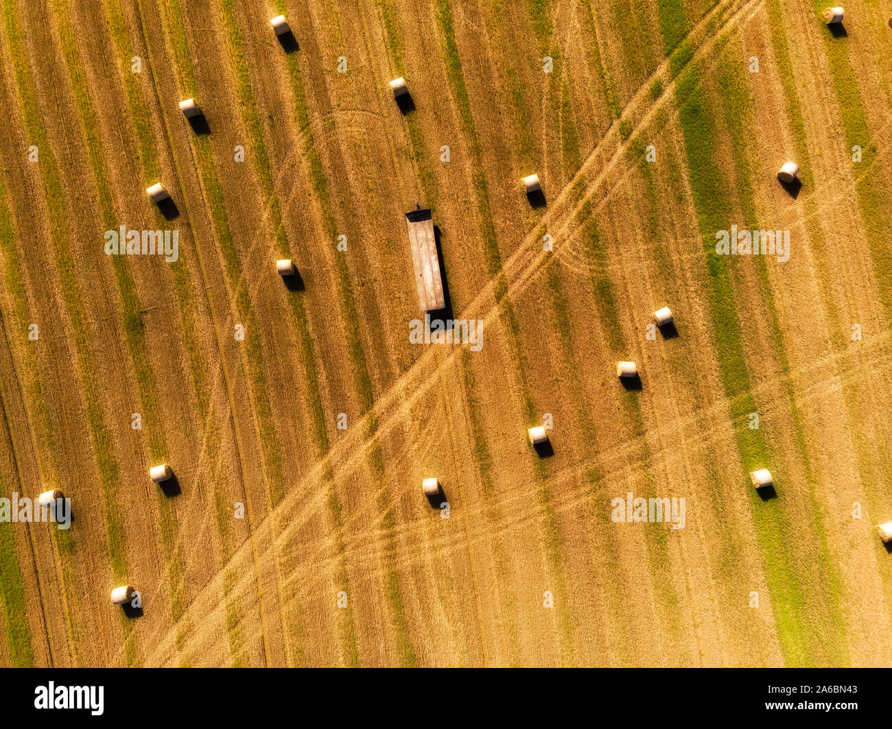 Drone vista del campo di raccolto con balle e rimorchio carico da un birds eye view del terreno Foto Stock