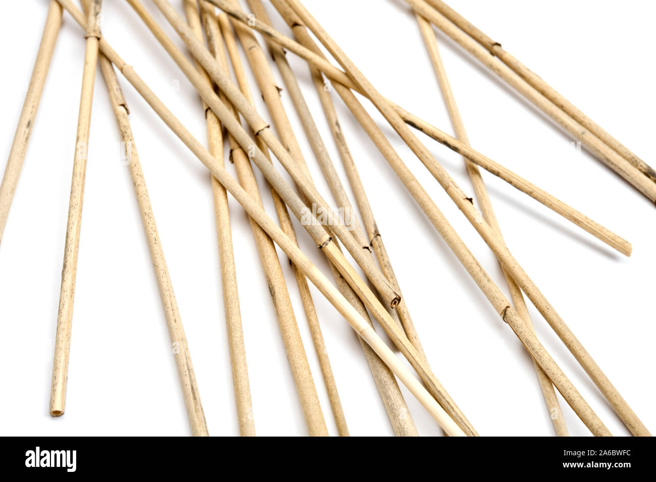 Pila di lamelle essiccate su sfondo bianco. La messa a fuoco in primo piano. Foto Stock