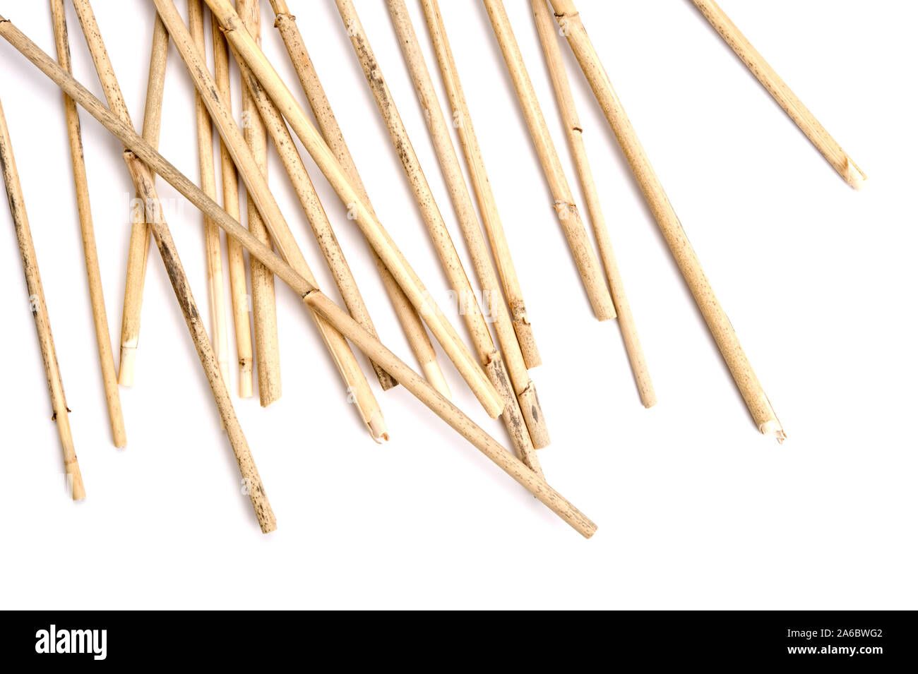 Pila di lamelle essiccate su sfondo bianco. Foto Stock
