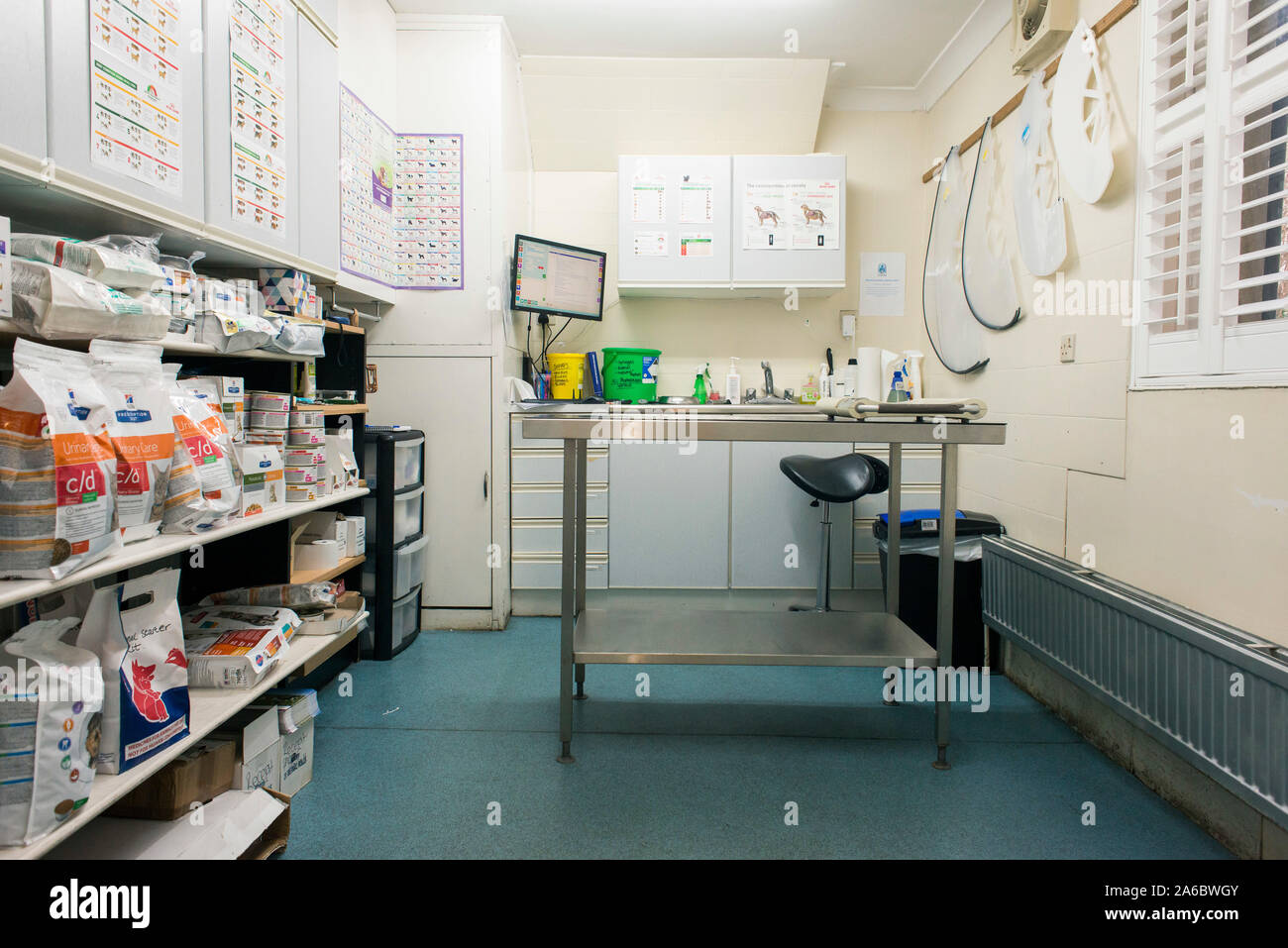 Un vuoto di trattamento veterinario room Foto Stock