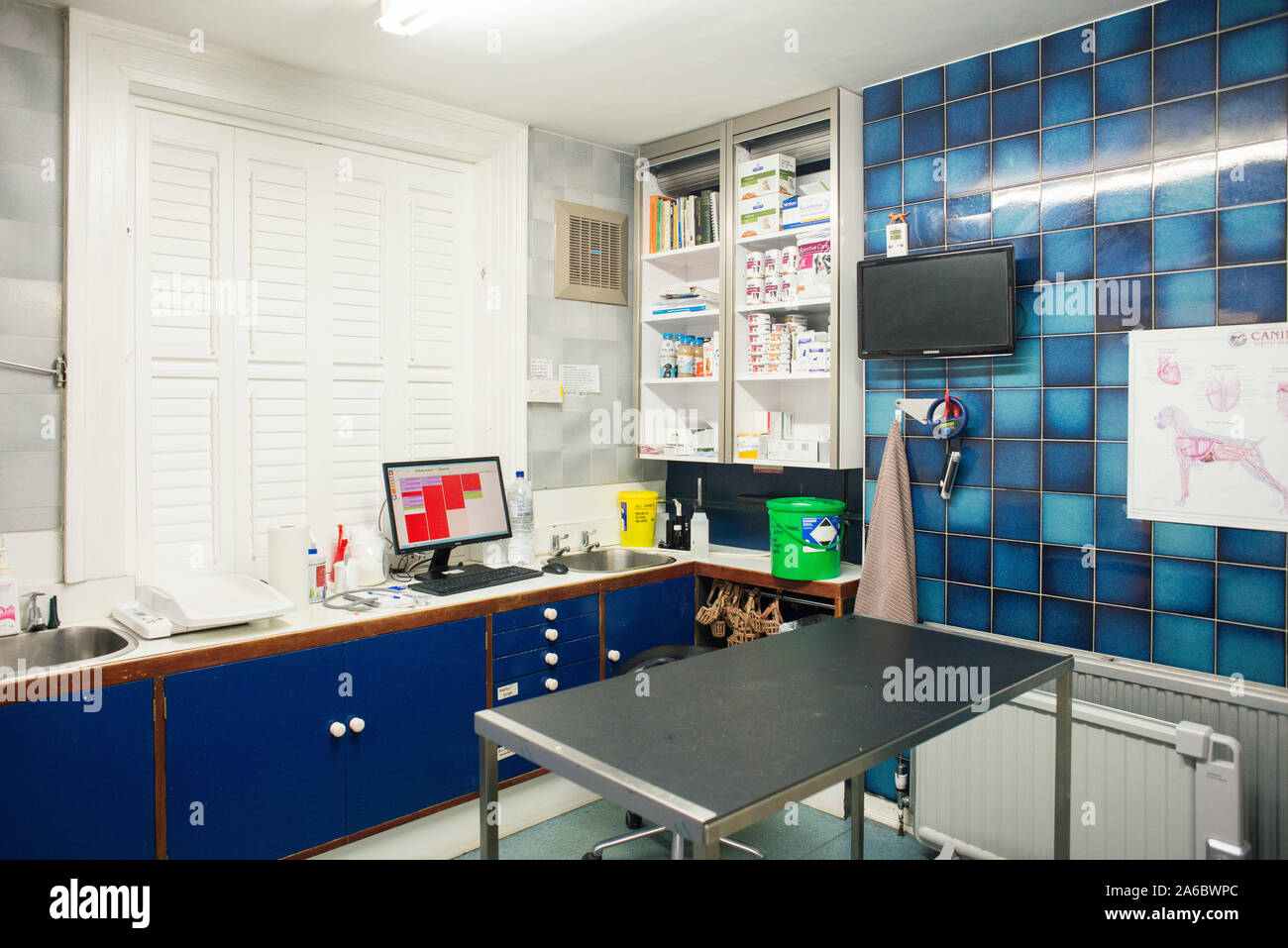 Un vuoto di trattamento veterinario room Foto Stock