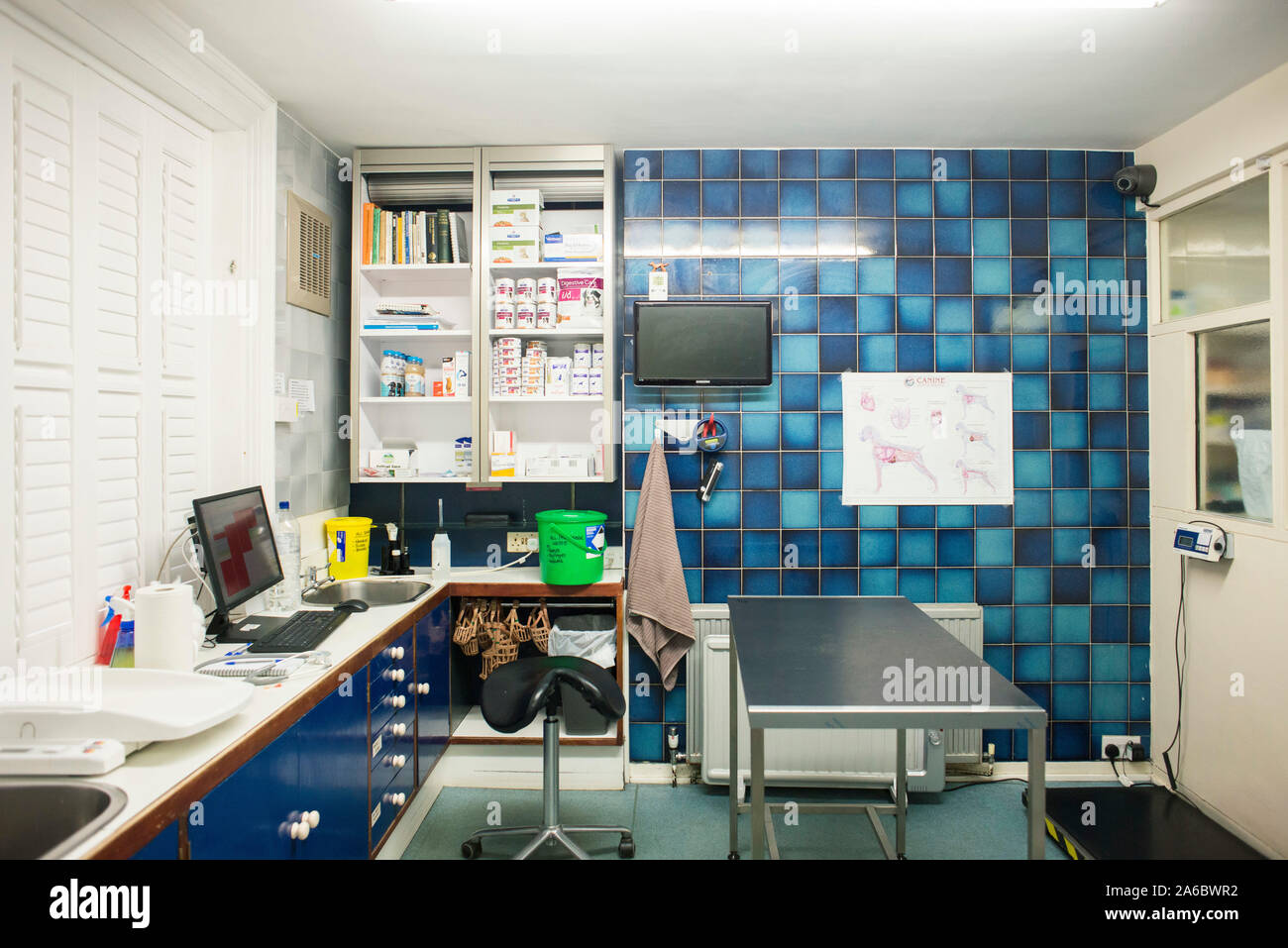 Un vuoto di trattamento veterinario room Foto Stock