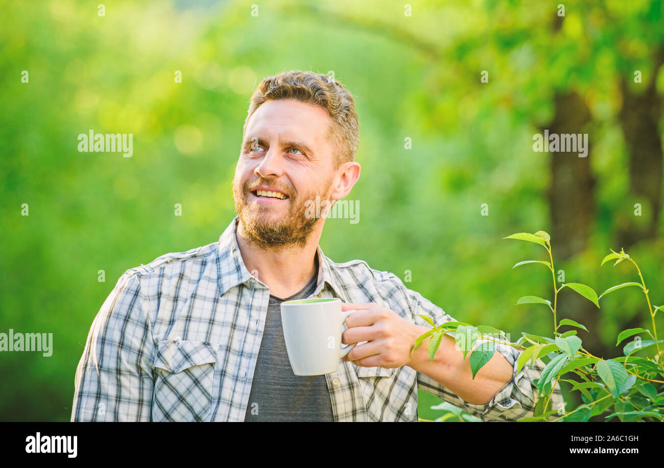 Il tè verde contiene composti bioattivi che migliorano la salute. A foglia intera tè. Bevanda naturale. Uno stile di vita sano. Io preferisco il tè verde. Bevanda rinfrescante. Uomo Barbuto tea farmer tenere mug natura dello sfondo. Foto Stock