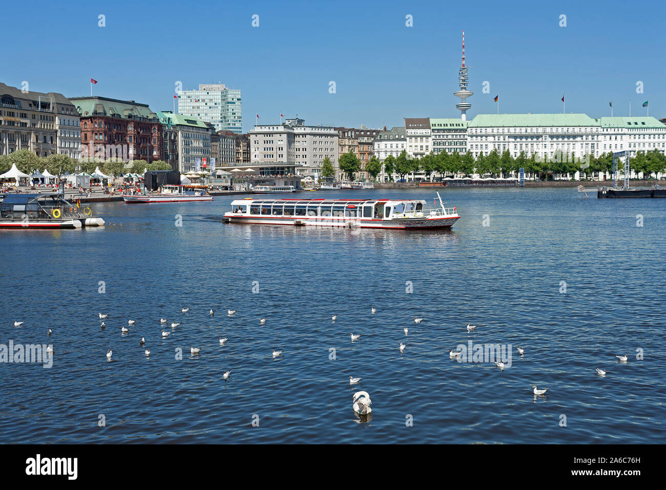 Escursione in barca e gabbiani sul Lago Alster interno, Amburgo, Germania Foto Stock