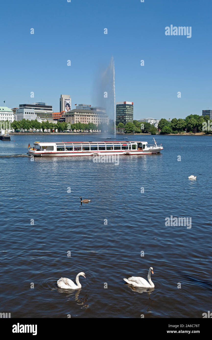 Nave passeggeri e i cigni sul Lago Alster interno, Amburgo, Germania Foto Stock