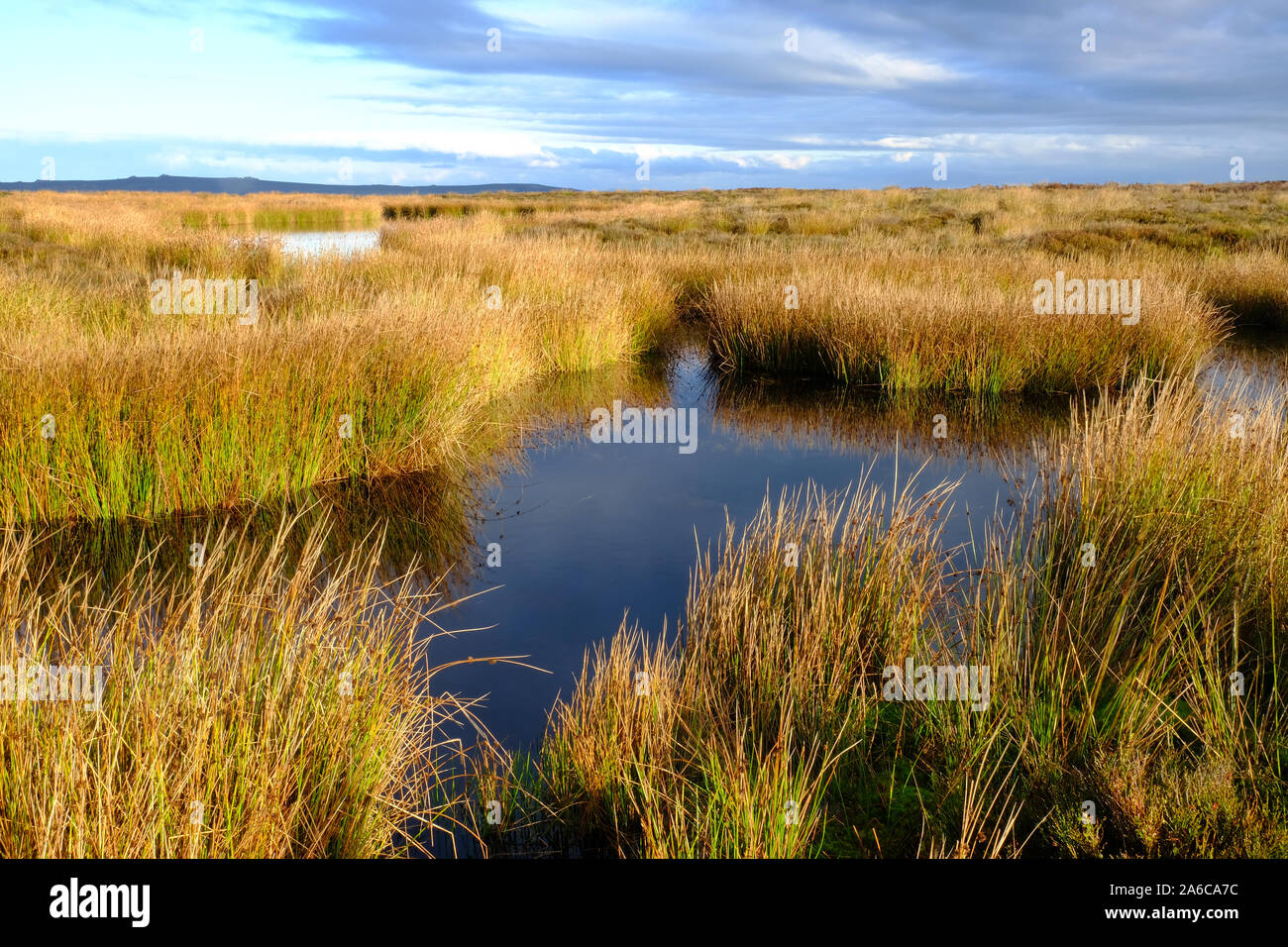 Piscina naturale nel polo Bank, Long Mynd, Shropshire Foto Stock