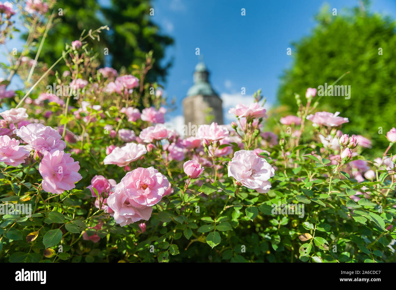 Il castello di Czocha, Bassa Slesia voivodato, Polonia Foto Stock