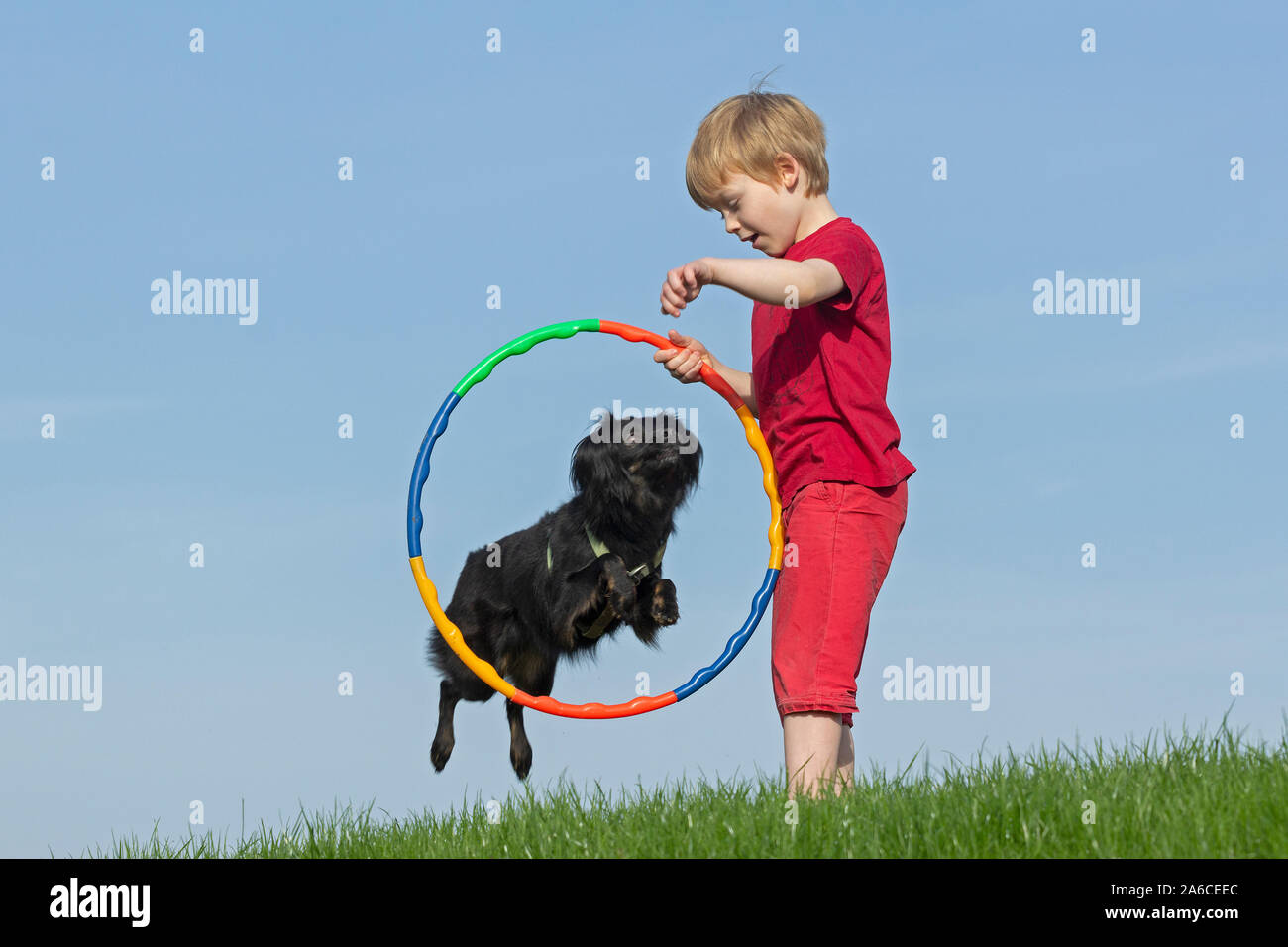 Un giovane ragazzo che il suo cane saltare attraverso un cerchio. Foto Stock