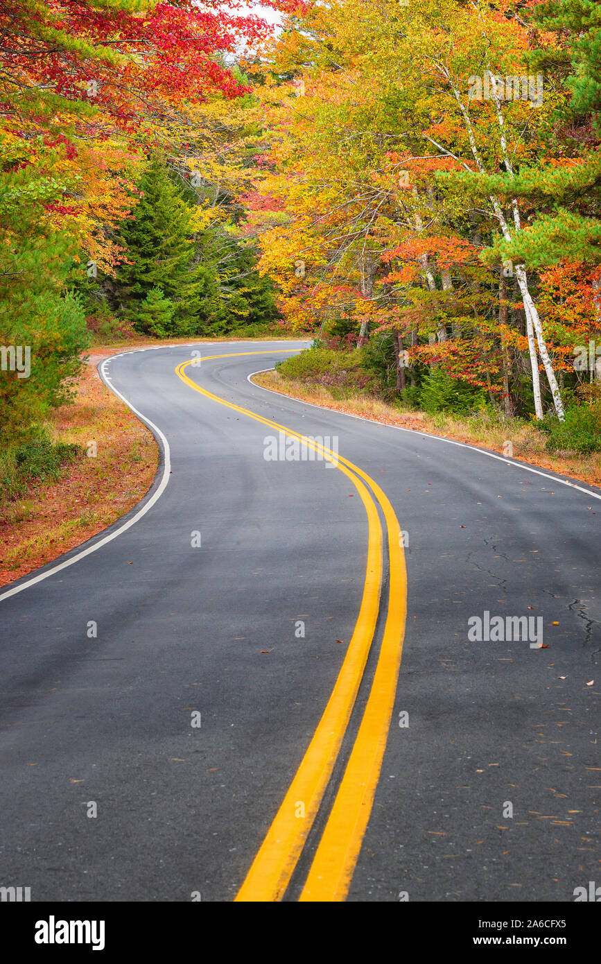 Avvolgimento curve su strada attraverso la paesaggistica fogliame di autunno alberi in New England. Foto Stock