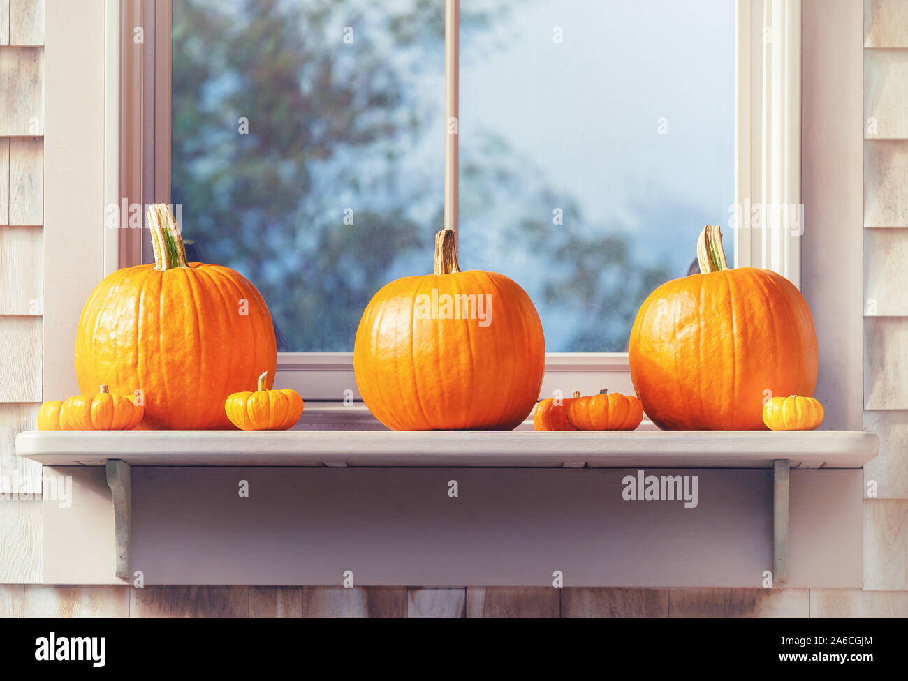 Splendida piscina di visualizzazione di zucche sul davanzale su una soleggiata giornata autunnale. Foto Stock