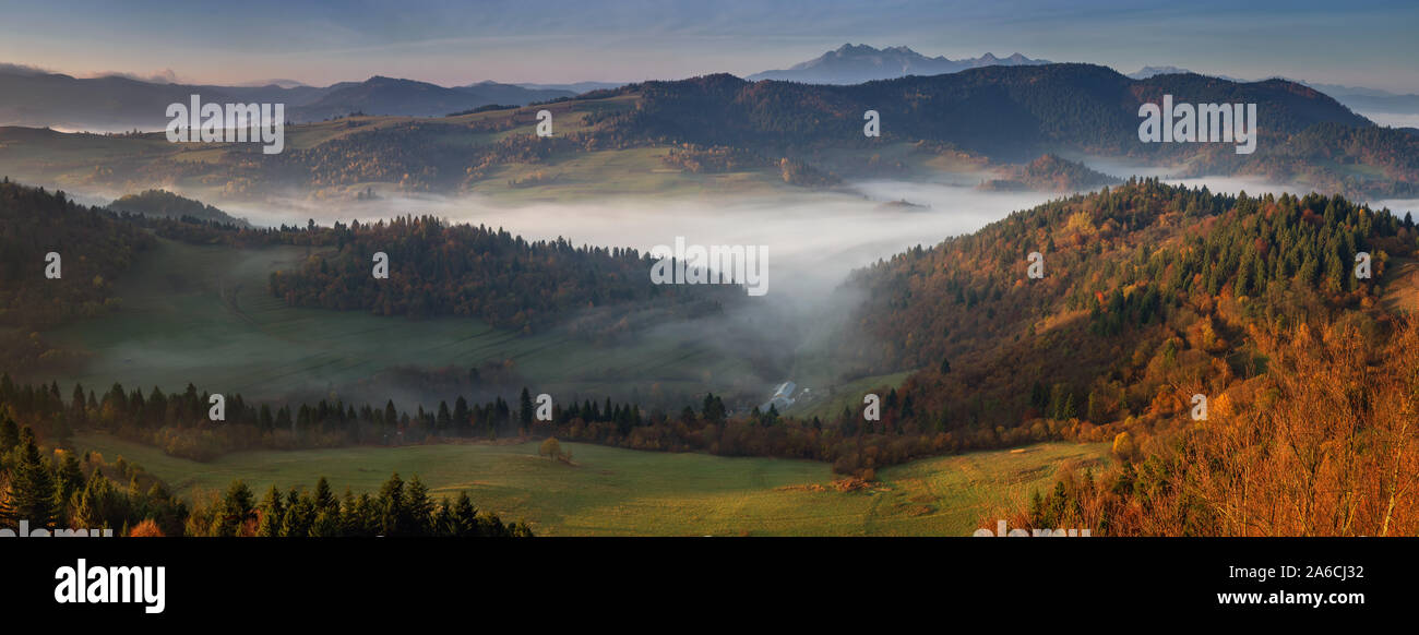 Panorama di piccole Pieniny nella nebbia e monti Tatra nella luce di sunrise, Polonia Foto Stock