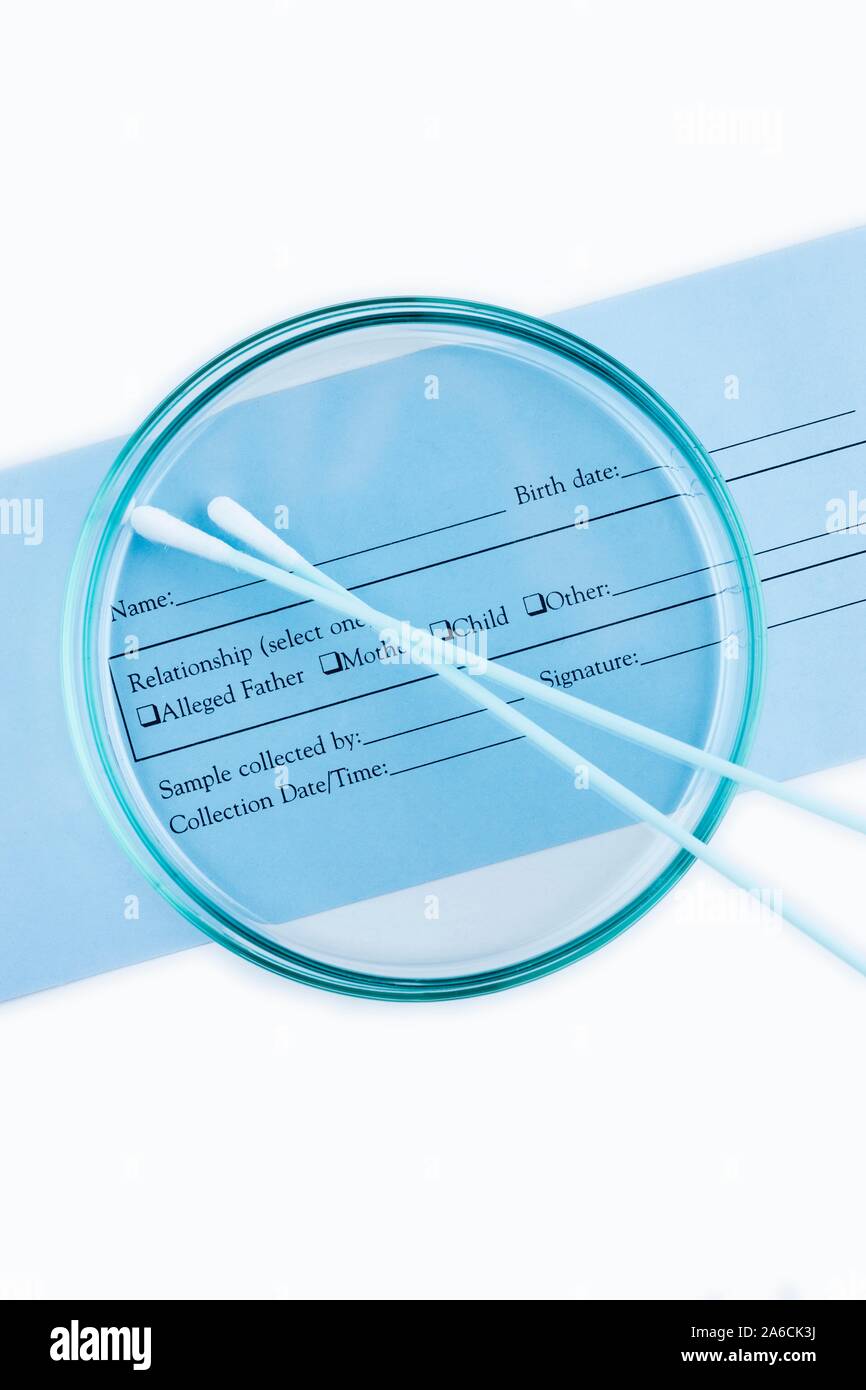 Il DNA test di paternità. I test genetici utilizzando una home kit di prova con tamponi di cotone sterili. Il tampone viene usato per raccogliere un campione di cellule dal rivestimento della bocca. DNA (acido desossiribonucleico) è estratto dalle cellule e analizzati per determinare la sequenza genetica. I test genetici possono essere utilizzati per determinare la paternità, per identificare i criminali o per determinare se qualcuno è predisposto per una malattia. Foto Stock