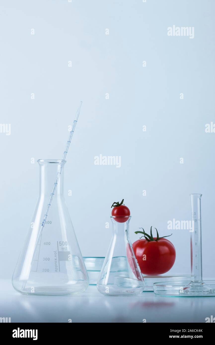 Immagine concettuale di ingegneria genetica e modifica del cibo. Foto Stock