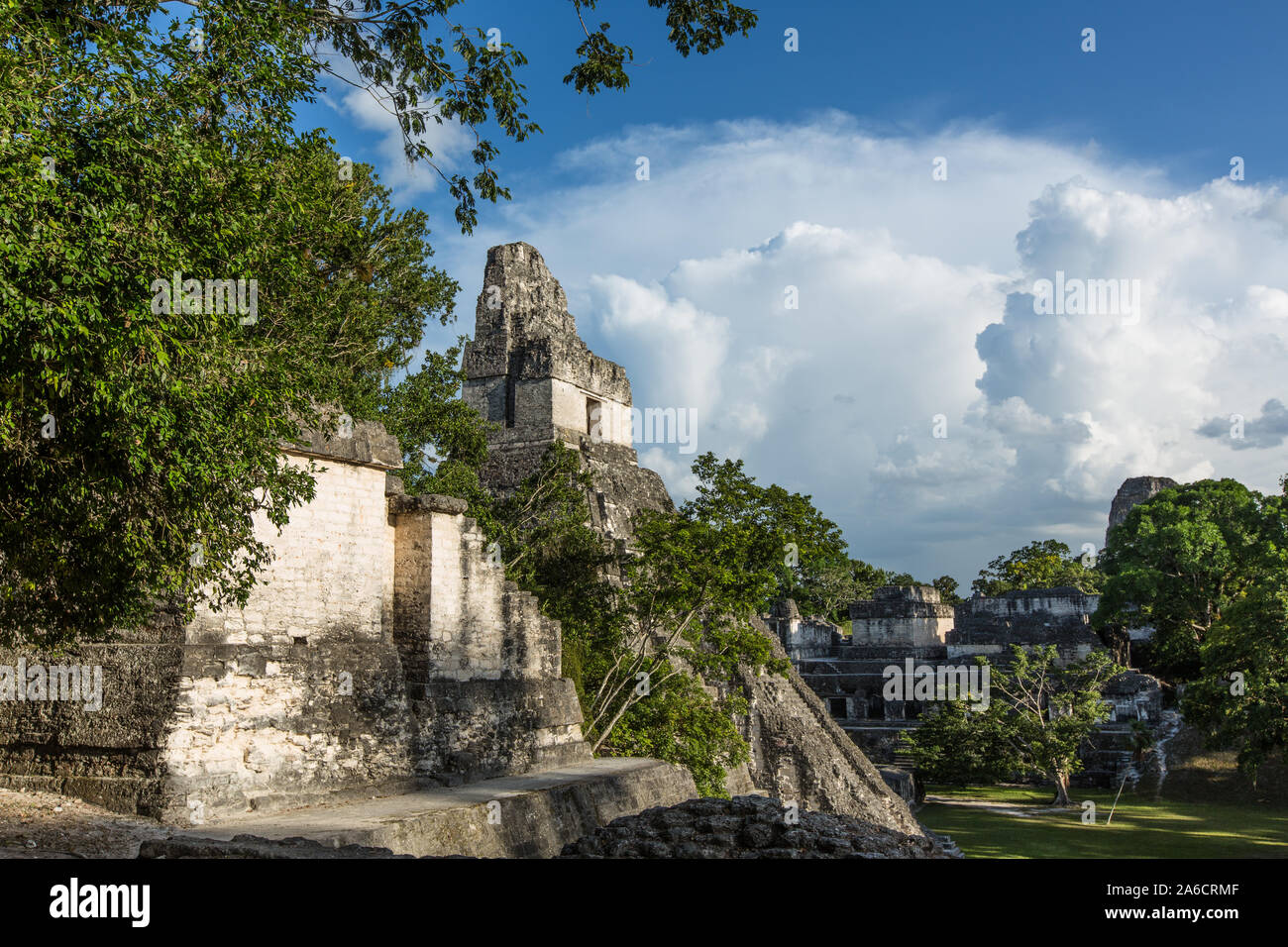 Tempio che io o tempio della grande Jaguar, è una piramide funeraria dedicata a Jasaw Chan K'awil, che fu seppellito nella struttura in ANNUNCIO 734. Il pyram Foto Stock