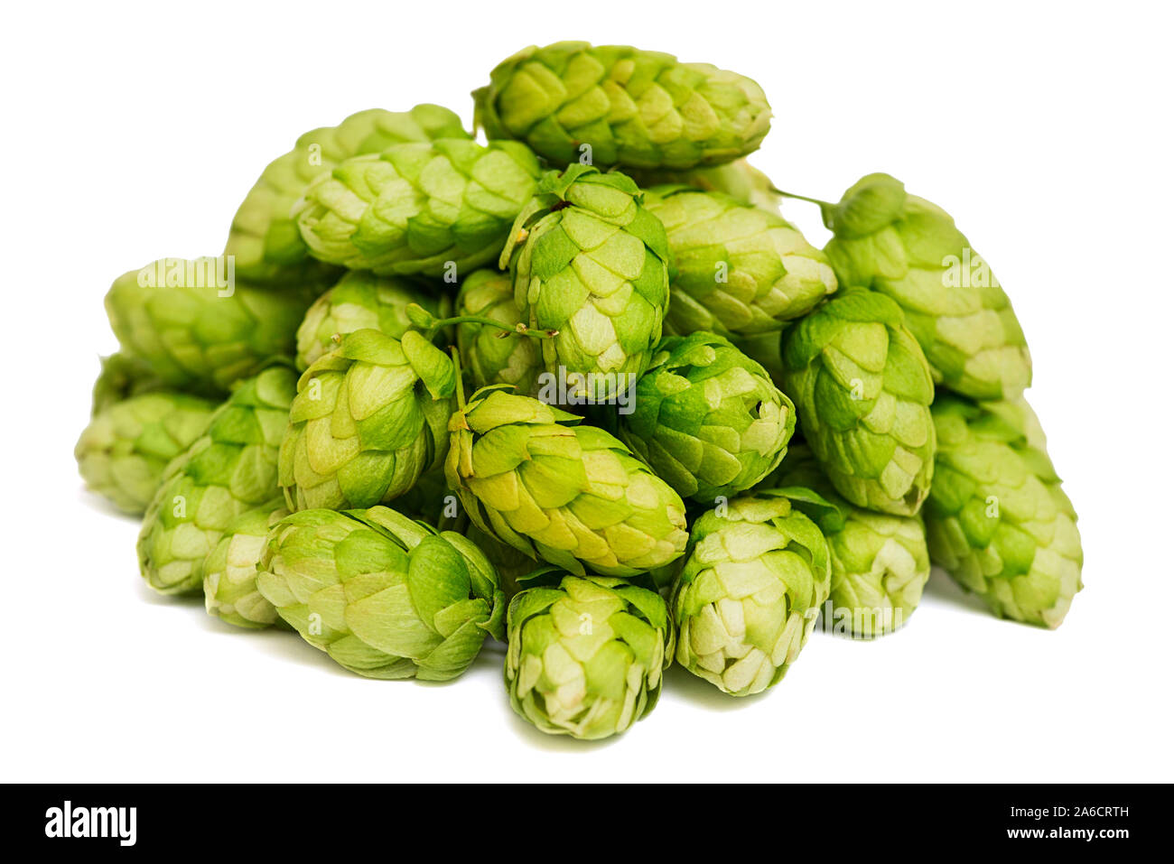 Cumulo di hop verde isolato su sfondo bianco. Pila di luppolo, ingrediente per la fabbrica di birra industria. Foto Stock