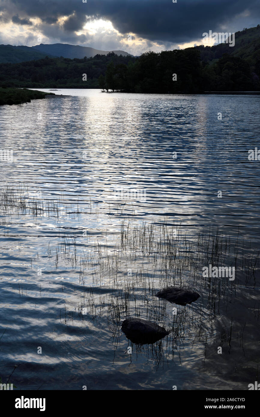 Tramonto su Rydal lago d acqua di fiume Rothay a Rydal con rocce e canne Parco Nazionale del Distretto dei Laghi Cumbria Inghilterra England Foto Stock