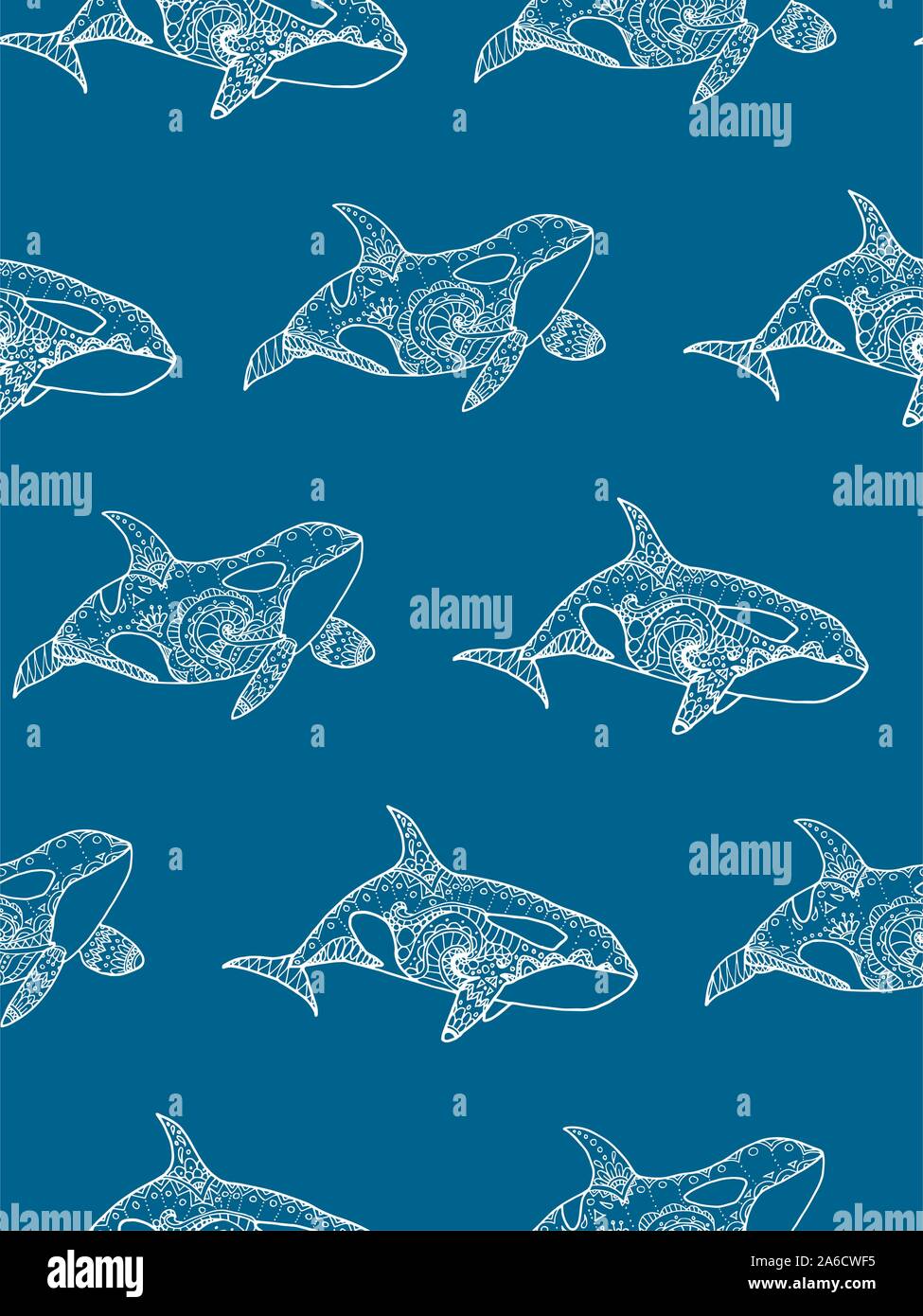 Illustrazione Vettoriale di pattern senza giunture dal disegno a mano modellato balena killer. Doodle Orca. Decorative sfondo marino Illustrazione Vettoriale