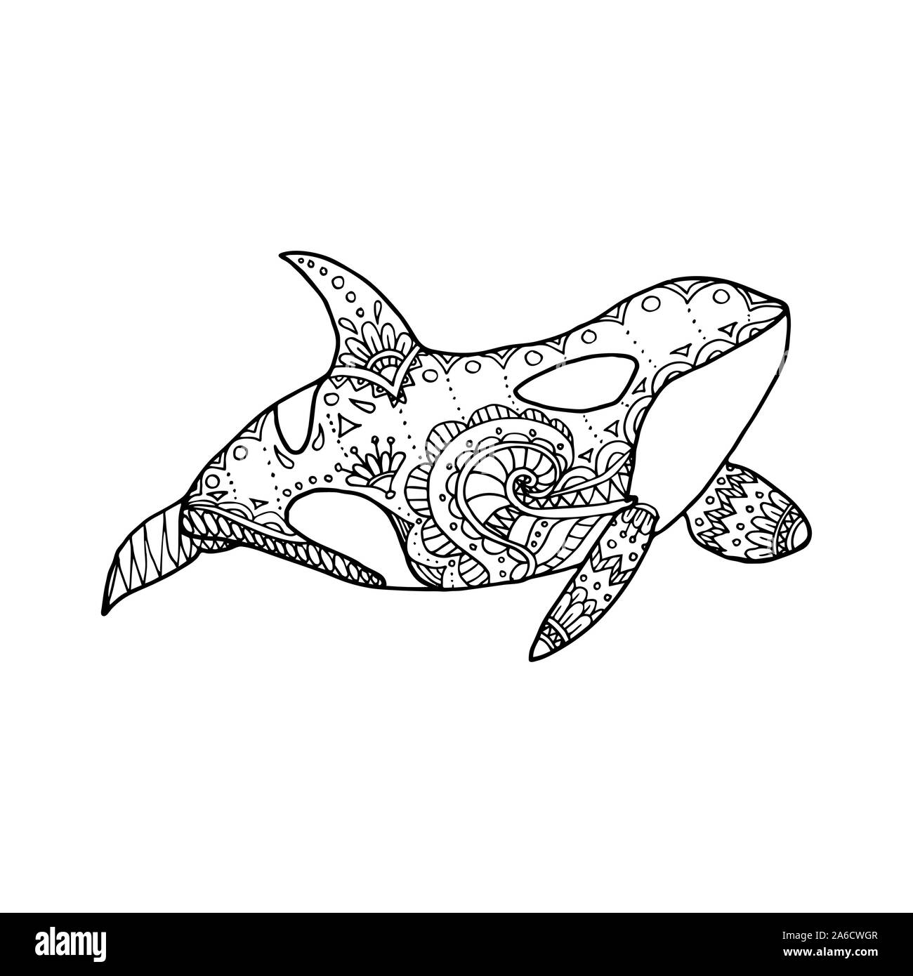 Illustrazione Vettoriale di mano disegnato modellato balena killer. Doodle Orca. Pagina di colorazione prenota anti stress per pazienti adulti Illustrazione Vettoriale