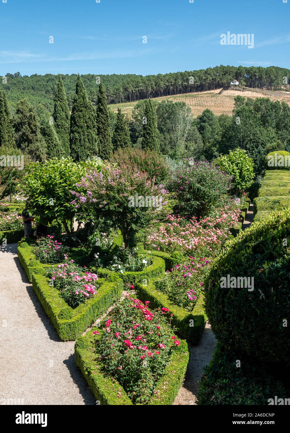 Vila Real, Portogallo - 13 August 2019: siepi di bosso e arbusti fioriti negli splendi Giardini di Palazzo Mateus in Vila Real, Portogallo Foto Stock