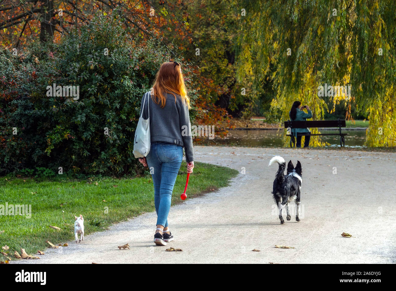 Parco di Praga Donna con cani a piedi, autunno nel parco Stromovka Praga Holesovice a piedi due cani Foto Stock