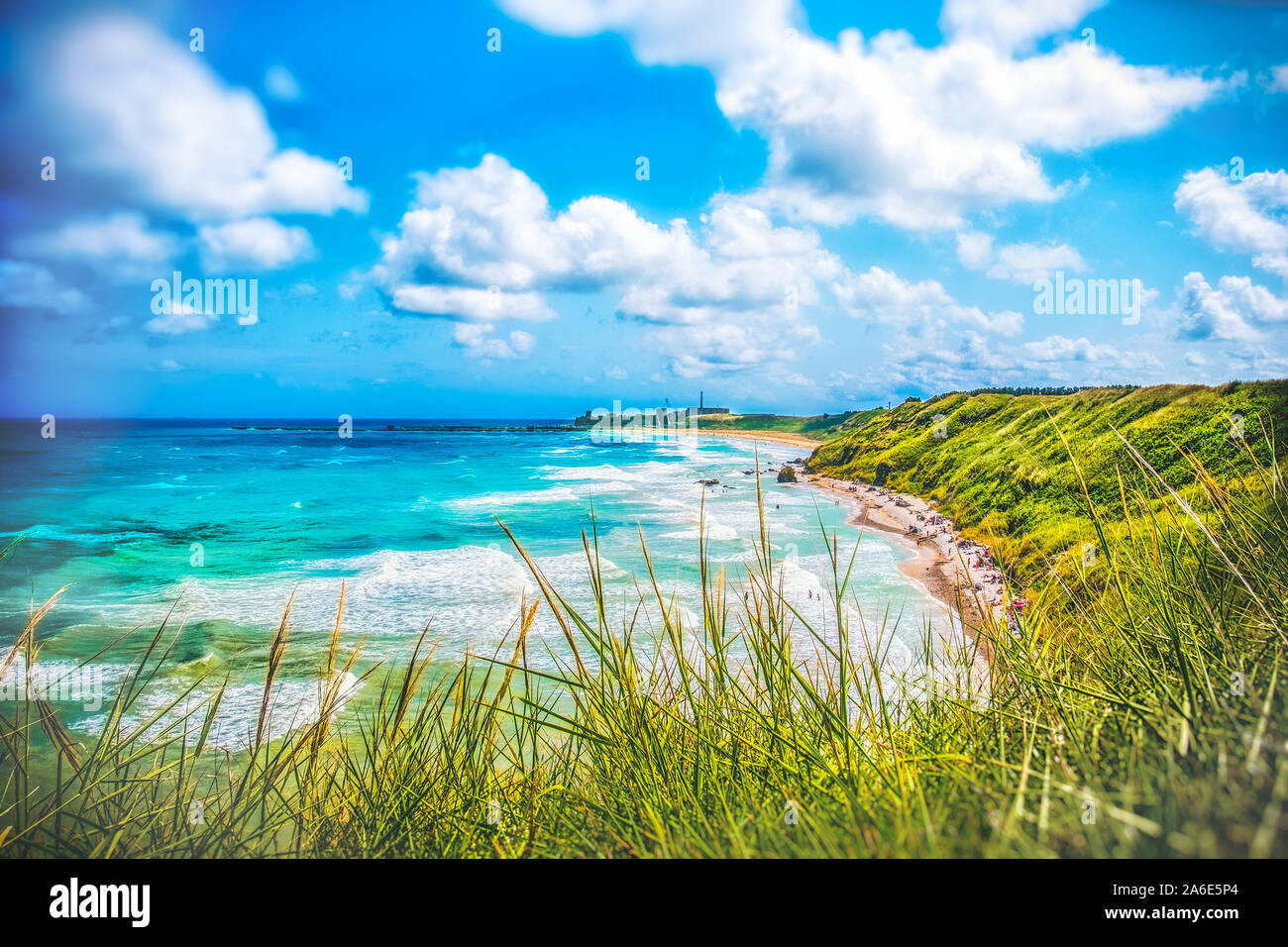 Seascape colorato di Italia - Abruzzo - VASTO - Punta Aderci e Libertini spiaggia con erba selvatica Foto Stock