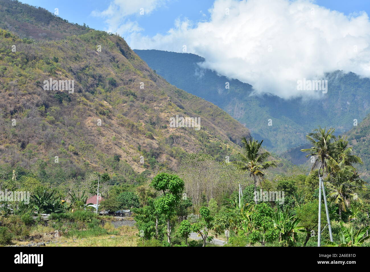 Vista piana di aree costiere con flora tropicale di Bali orientale con colline vulcaniche in background. Foto Stock