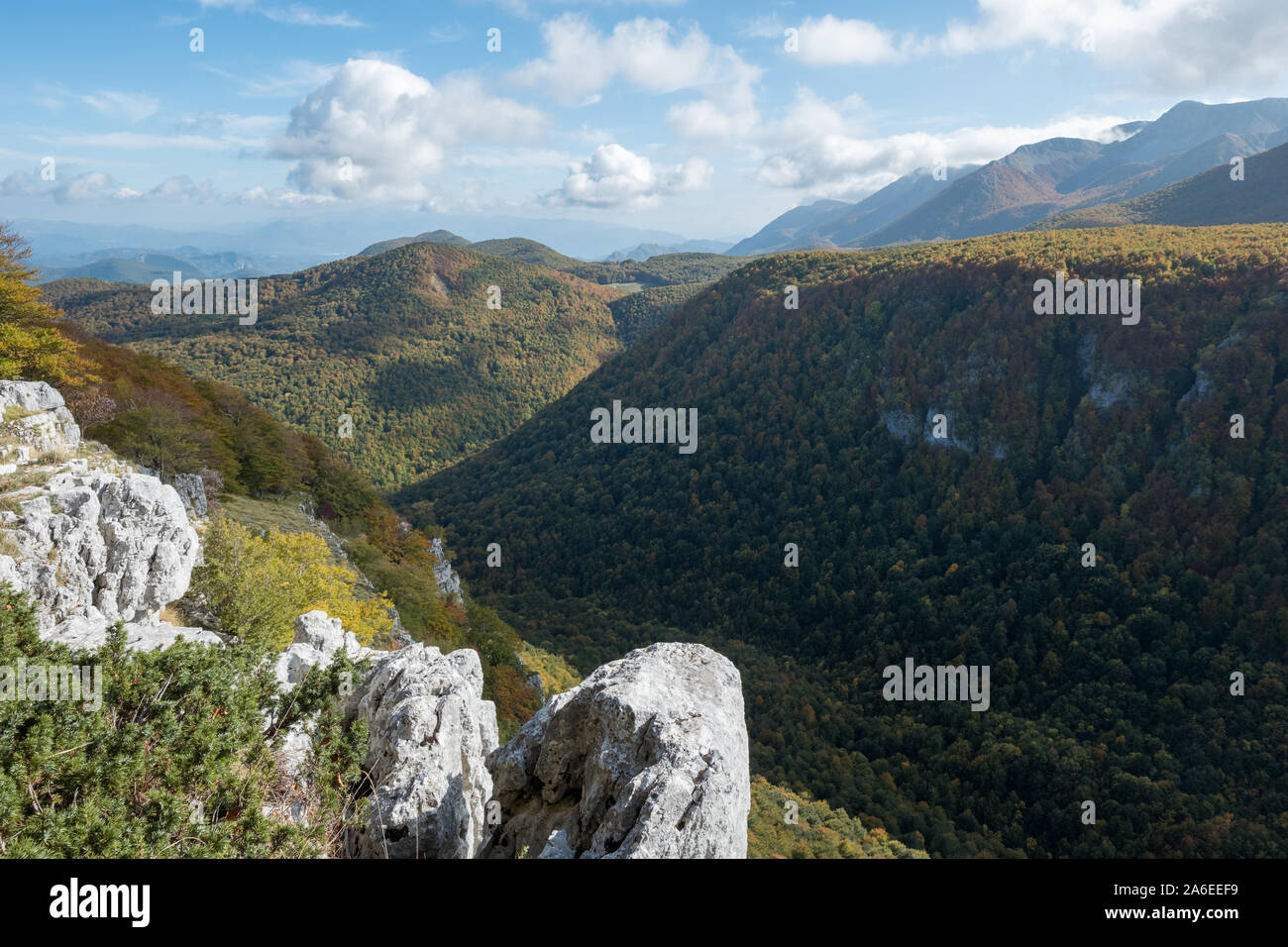 Suggestiva valle con fitti boschi e rocce grigie in primo piano nel Parco Nazionale d'Abruzzo, Barrea, Abruzzo, Italia Foto Stock